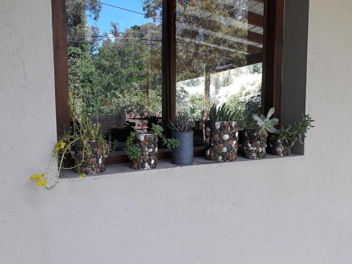 Las Cortaderas Bosque Peralta Ramos مار ديل بلاتا المظهر الخارجي الصورة