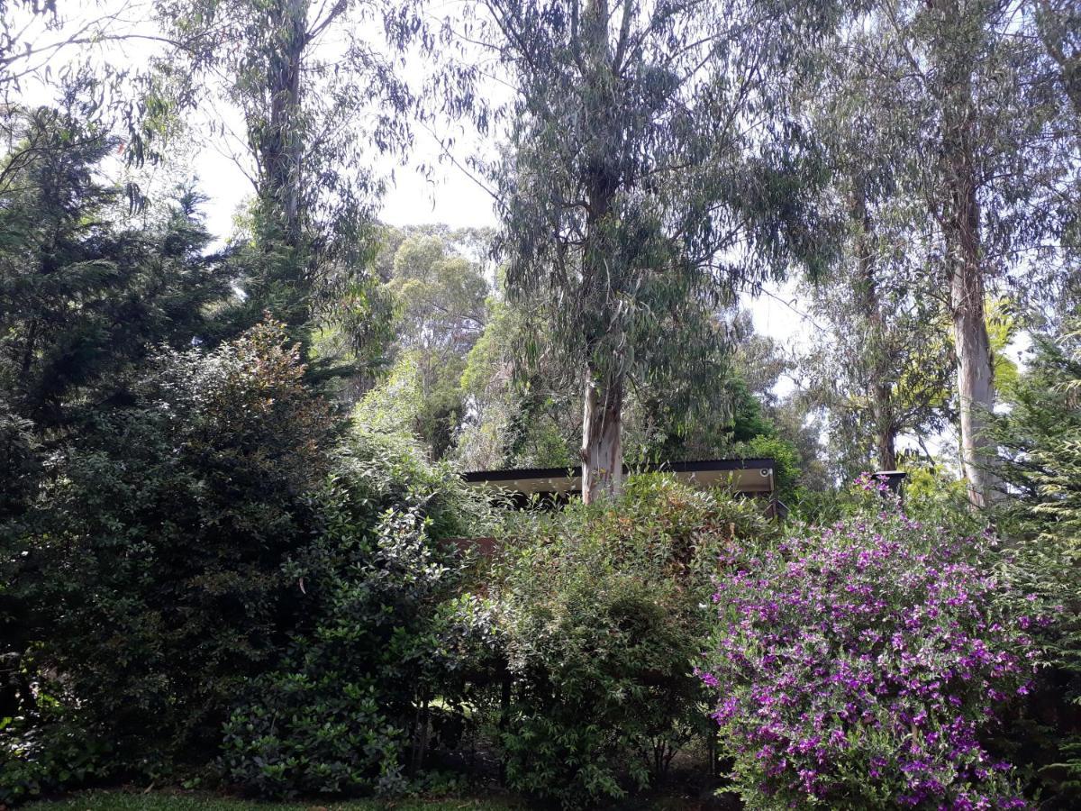 Las Cortaderas Bosque Peralta Ramos مار ديل بلاتا المظهر الخارجي الصورة